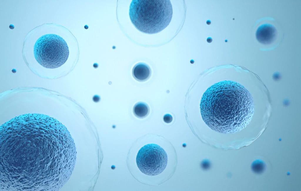 What is the Easiest Way to Get Stem Cells? 2 stem cells