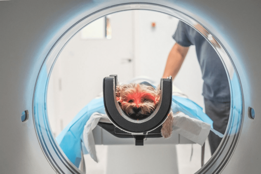 Abnormal CT Scan Next Steps: What to Expect After Your Imaging Test
