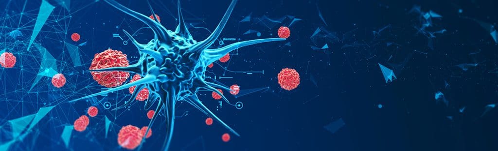 image 174 LIV Hospital