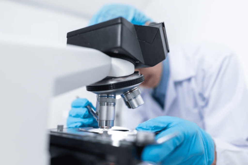 Best Supplements That Increase Stem Cell Production 3 Best Supplements That Increase Stem Cell Production