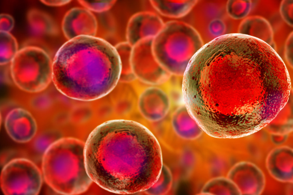 Multipotent Stem Cells: Key to Tissue Repair and Regeneration