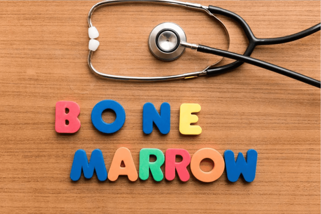 Male Preferred Donor Reasons: Why Males Are Often Chosen for Bone Marrow Donation