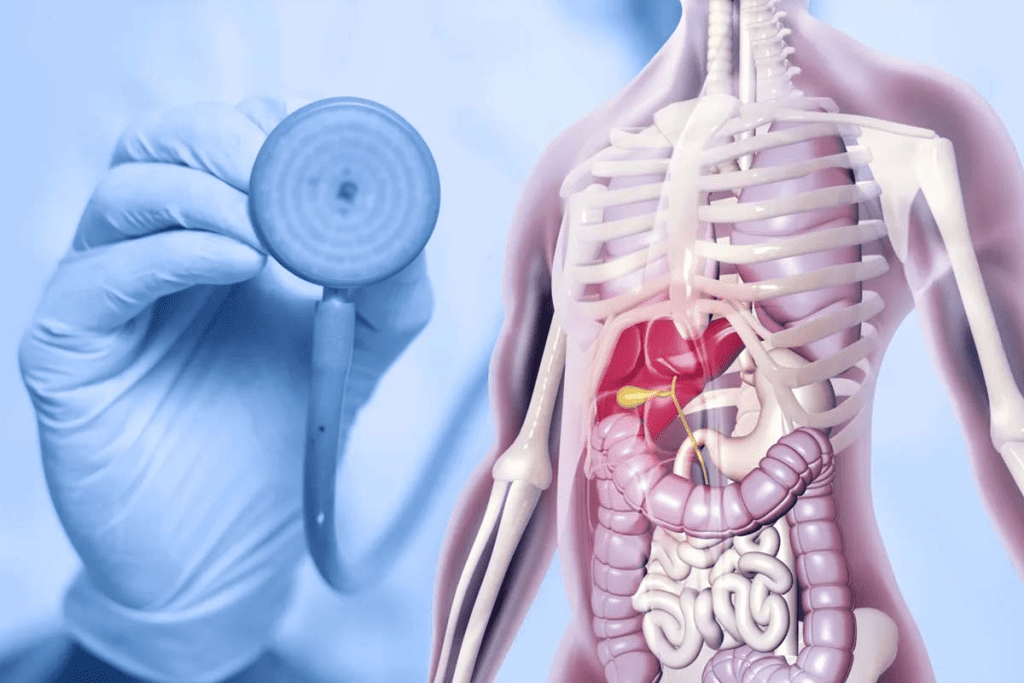 Bone Marrow Donor Eligibility: Who Can Donate and Requirements