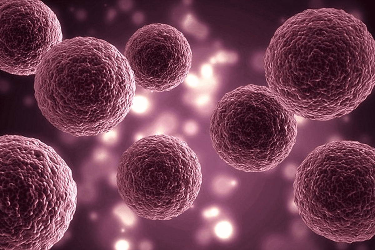 Stem Cells Breakthrough: Unlocking Powerful Benefits for Healing