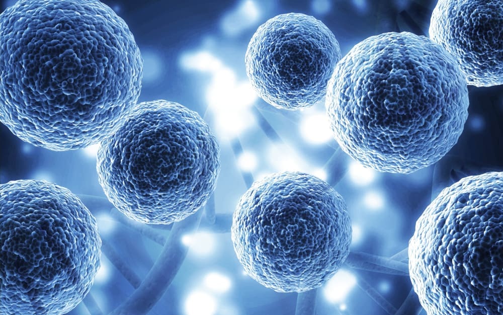 Stem cell research in laboratory with scientists working on regenerative medicine.