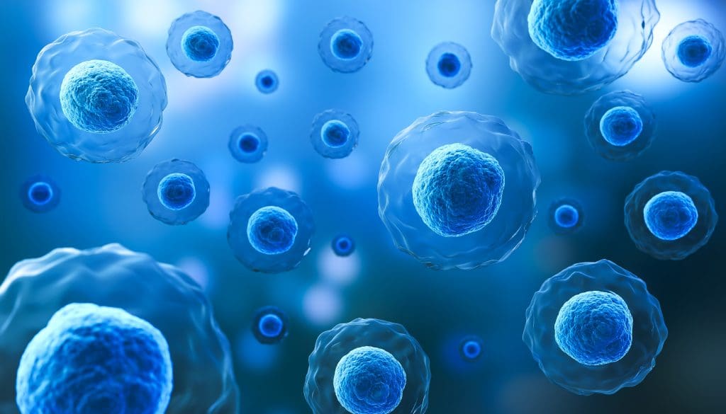 what diseases can stem cells cure