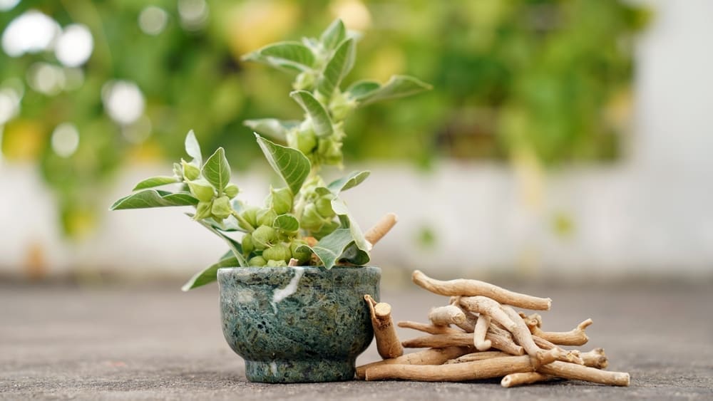 Ashwagandha