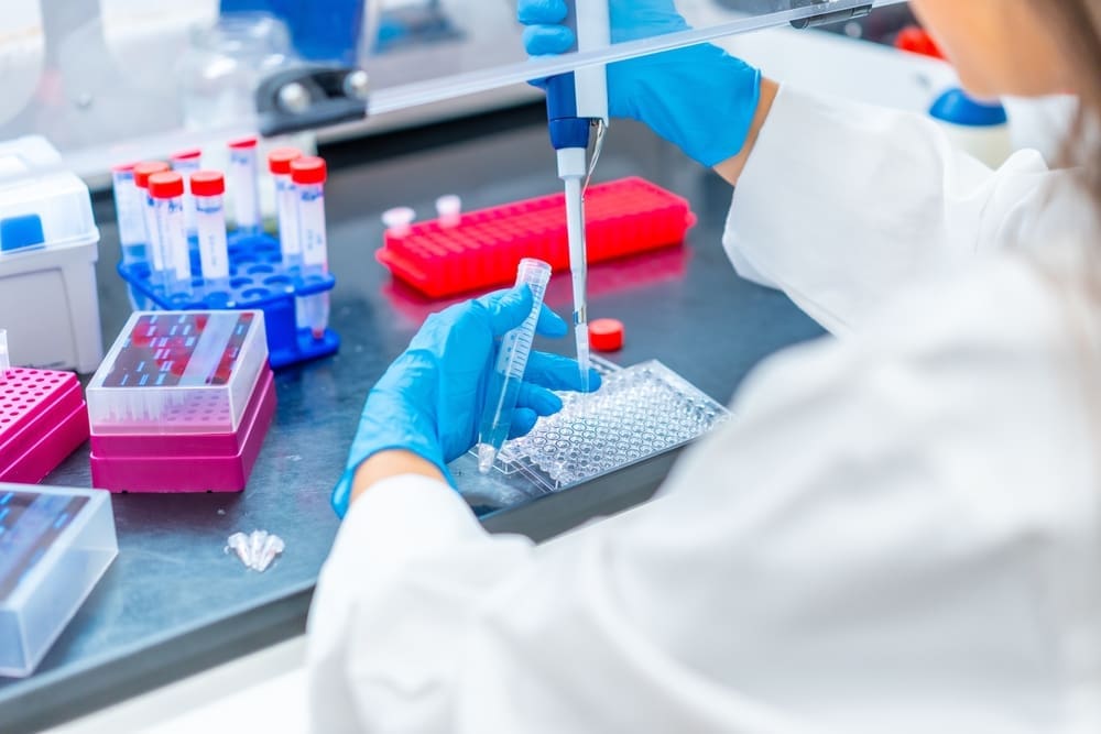 The Process of Autologous Stem Cell Extraction Explained 1 Autologous Stem Cell Extraction