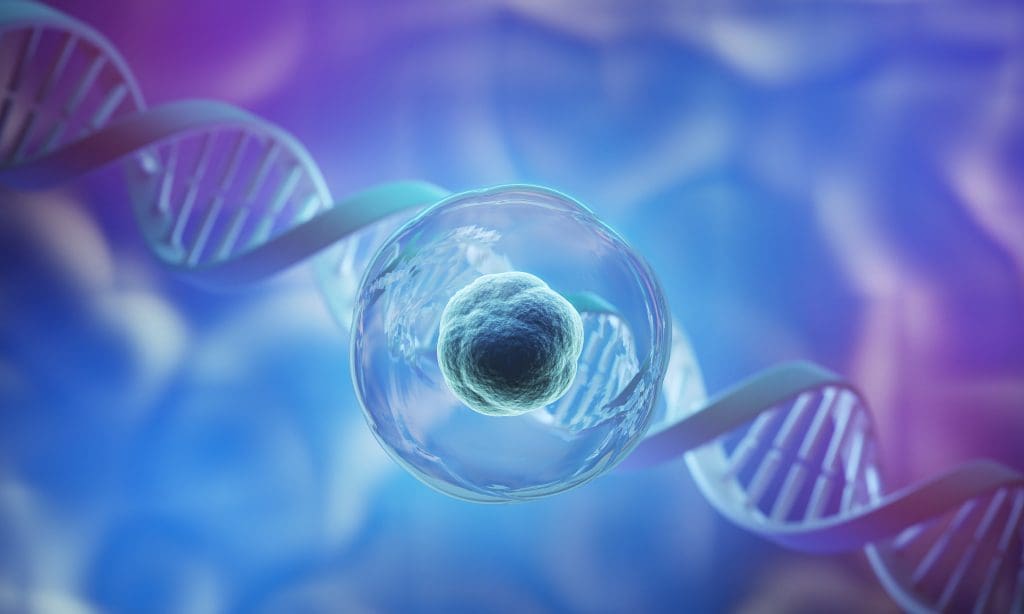 reverse aging with stem cells