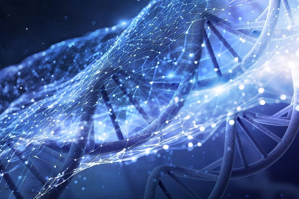 Stem cell illustration showing regeneration of tissues and medical applications.