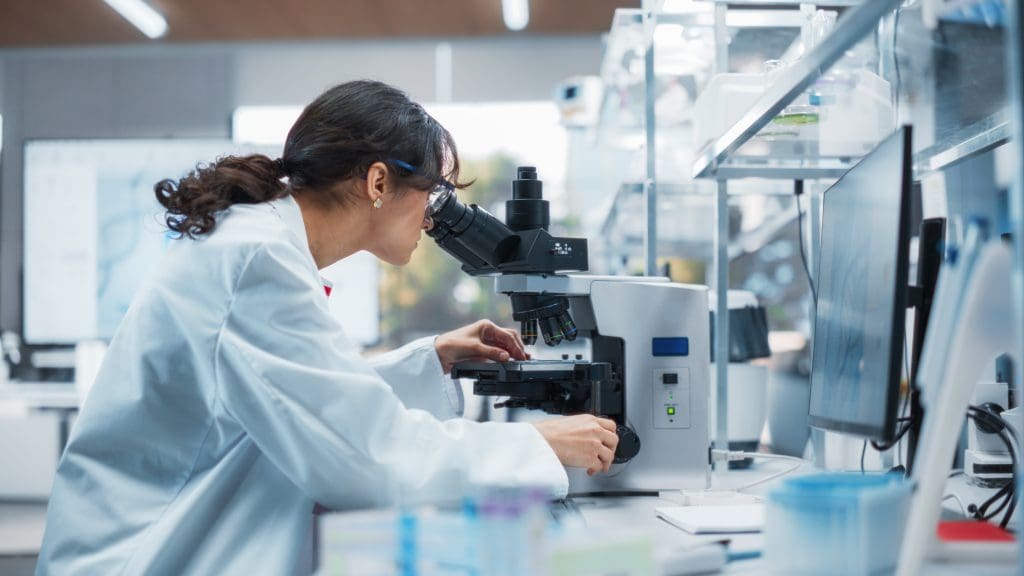 dark chocolate stem cells