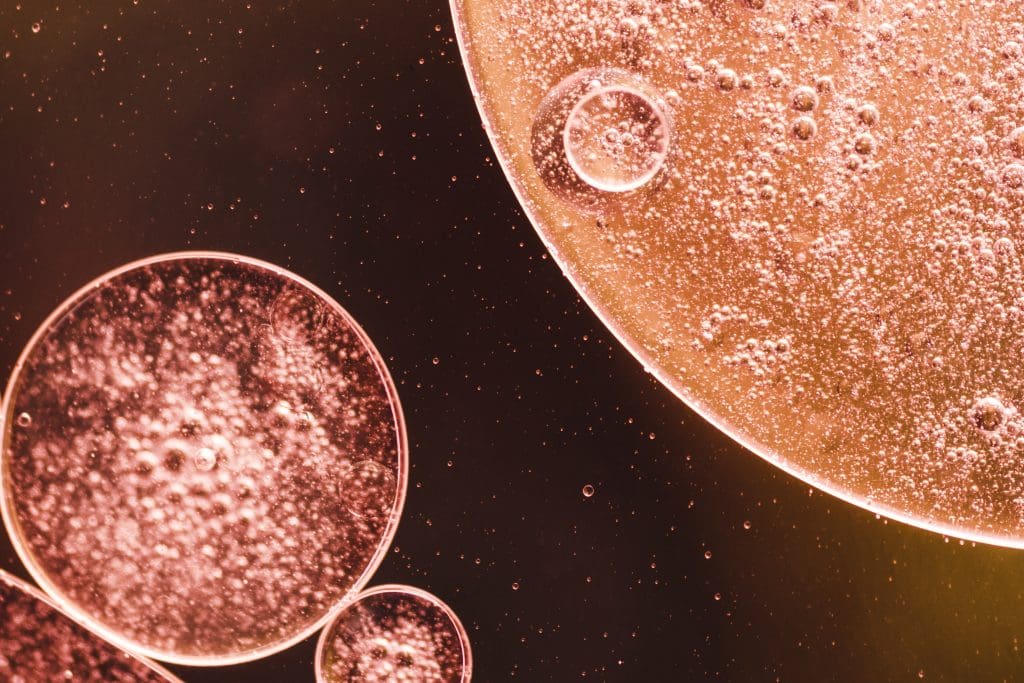 What are Adult Stem Cells? Understanding Stem Cell Therapy 1 Stem cell