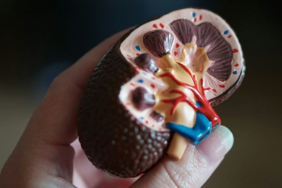 Medications That Help Pass and Dissolve Kidney Stones