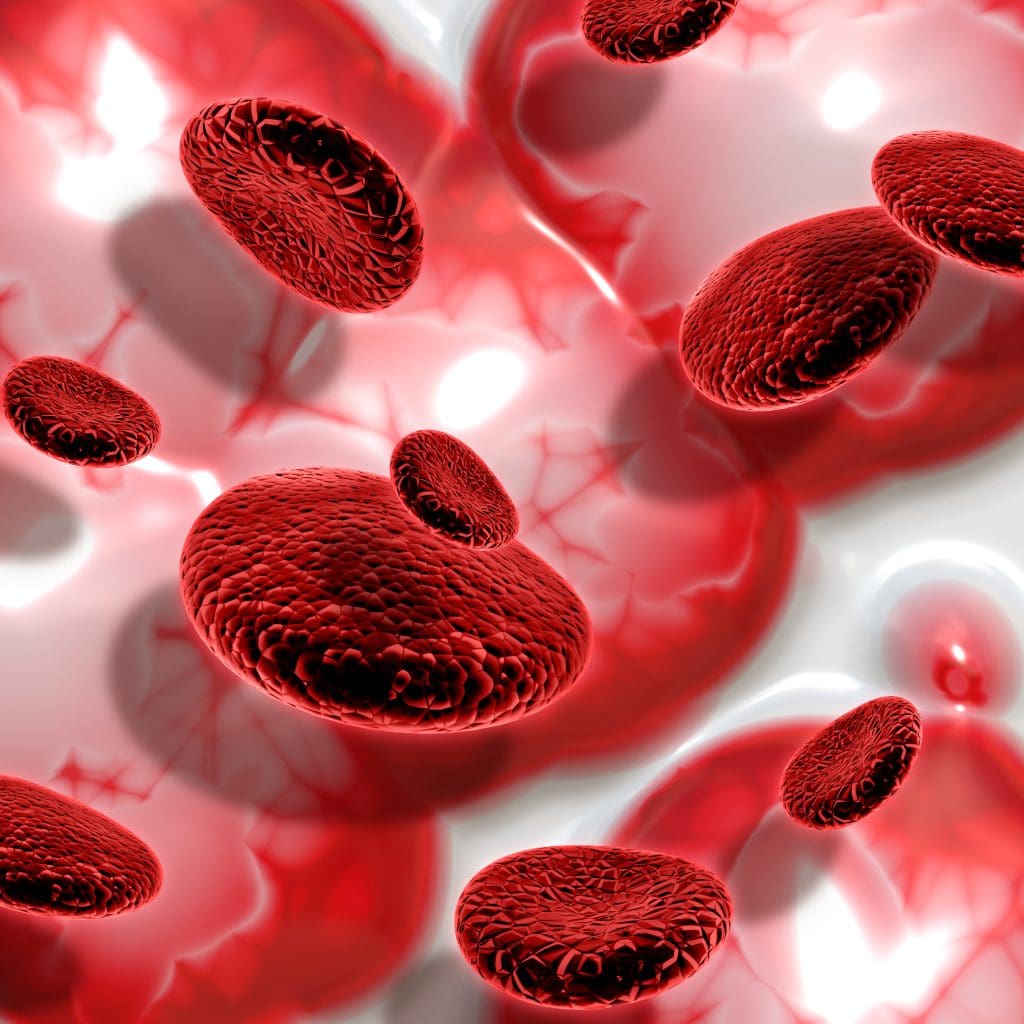 3d render blood cells abstract background 3 LIV Hospital