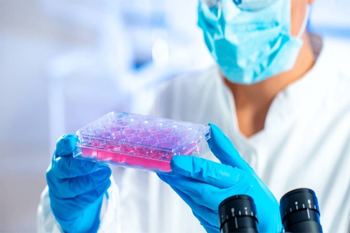 Eligibility: Identifying stem cell transplant poor candidates