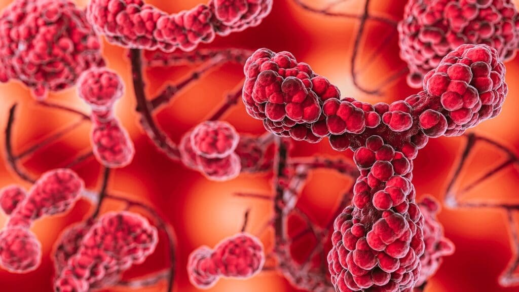 7 Key Facts About Large B Cell Lymphomas and Subtypes