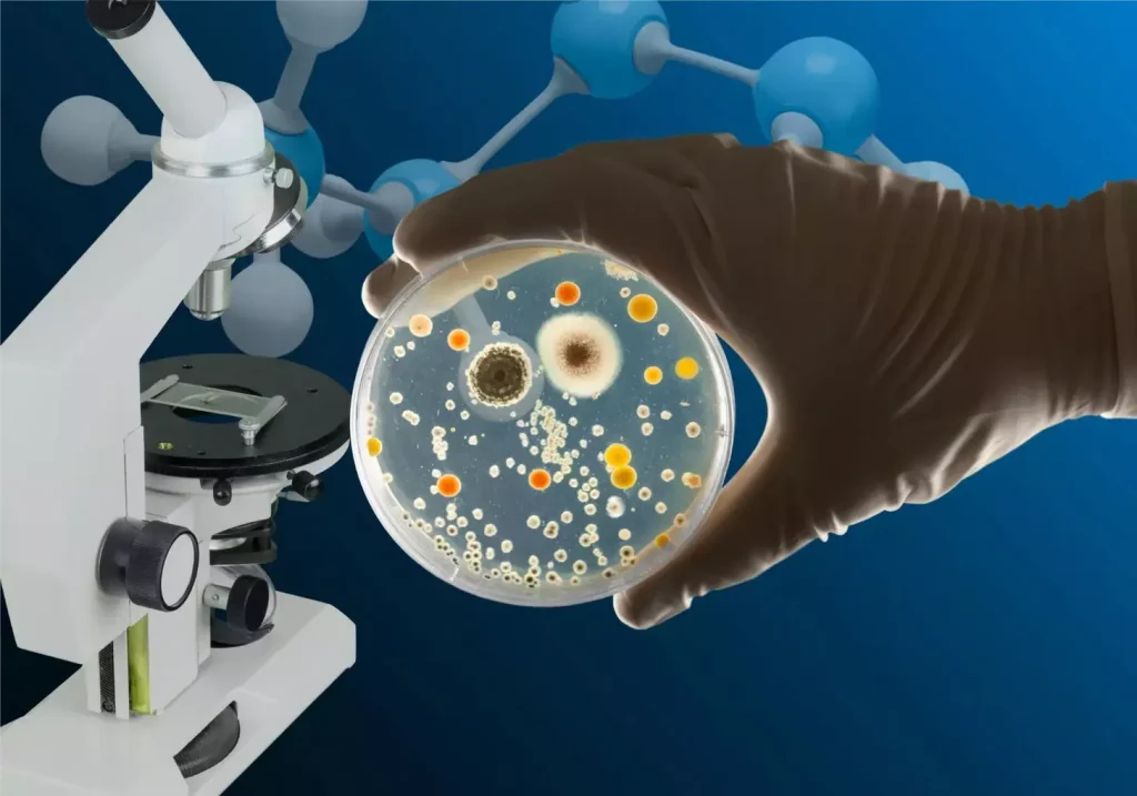 A breakthrough in cancer treatment, a CAR-T cell therapy shines brightly. In the foreground, the T cells, engineered with chimeric antigen receptors, stand ready to attack the malignant cells. Their surface receptors, a complex interplay of proteins, glow with an inner radiance. In the middle ground, the cancer cells, their nuclei dark and ominous, cower before the advancing T cells. The background bathes in a warm, golden light, symbolic of the hope and promise this revolutionary therapy holds. The scene is captured with a crisp, cinematic clarity, the lighting and composition elevating the scientific process into a moment of breathtaking scientific wonder.
