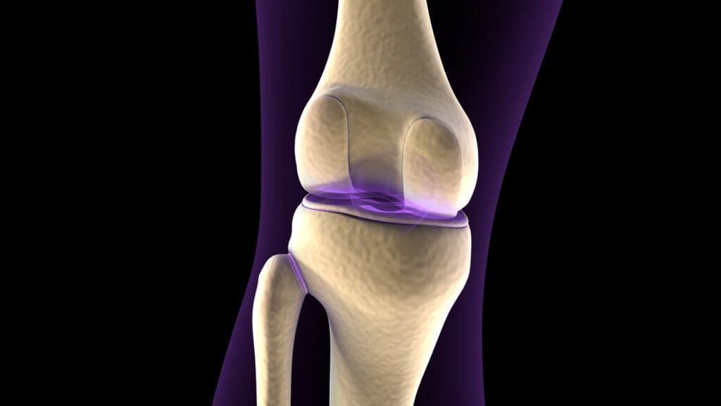A close-up view of a human knee joint