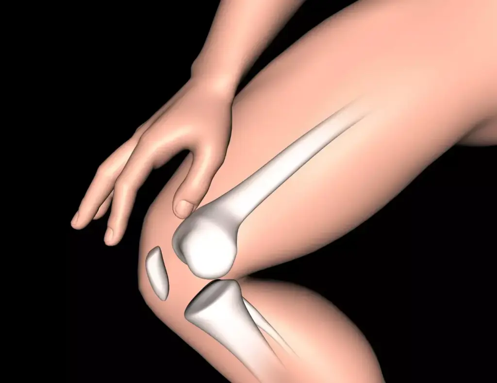 A close-up view of human knee joints, showcasing the reversal of osteoarthritis. The foreground features healthy, well-lubricated cartilage, with clear joint space and minimal bone deformities. The middle ground depicts the gradual restoration of cartilage thickness and joint function, as new cells regenerate and repair the damaged areas. The background subtly suggests the underlying biological processes, such as increased synovial fluid production and reduced inflammation. The lighting is soft and natural, highlighting the delicate details of the joint structure. The overall mood is one of hope and optimism, conveying the scientific advancements in reversing the effects of this degenerative condition.