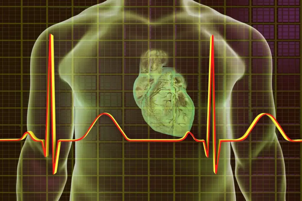 A cross-section of a human heart, capturing the intricate details of atrial fibrillation. The atria are prominently displayed, with erratic and irregular electrical impulses visible as a dynamic, chaotic pattern of pulsing lines. The ventricles remain steady, contrasting the disorderly rhythm above. The image is rendered in a muted, clinical color palette, with a focus on the anatomical structures and the underlying pathophysiology. Soft, directional lighting accentuates the intricate textures and shadows, creating a sense of depth and realism. The overall impression conveys the complex nature of this cardiac condition and its impact on the heart's normal function.