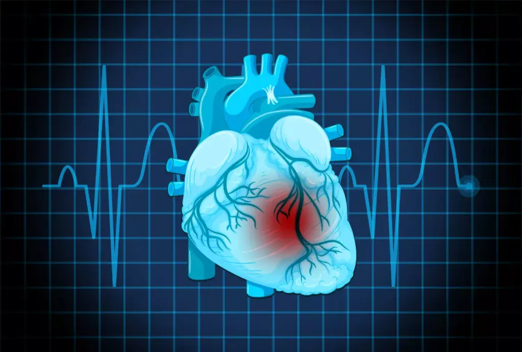 A detailed, anatomically accurate illustration of an atrial fibrillation heart rate. The heart is rendered in high detail, with a clear view of the atria and ventricles. The heart is shown beating irregularly, with the atria quivering and the ventricles contracting at an erratic pace. The heart is depicted against a stark, white background, with soft, directional lighting accentuating the intricate structures and capturing the subtle textures of the cardiac muscle. The overall mood is clinical, informative, and focused on conveying a clear understanding of the underlying physiological mechanisms of atrial fibrillation.