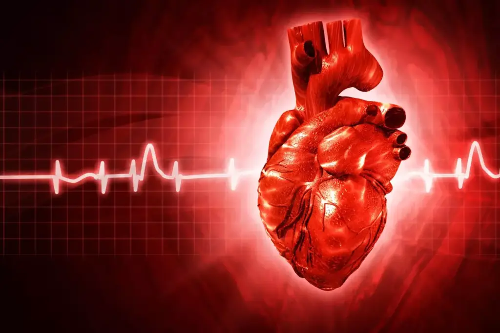 A detailed, anatomically accurate illustration of the human heart, with a focus on palpitations caused by alcohol consumption. The heart is depicted in the center, pulsing with irregular, erratic beats, surrounded by a hazy, shimmering aura to convey the sense of discomfort and heightened sensations. The background features a dimly lit, blurred cityscape, suggesting the social context of alcohol-related heart issues. Soft, warm lighting casts a subtle glow, creating an introspective, contemplative mood. The overall composition emphasizes the physiological processes and the impact of alcohol on cardiovascular health.