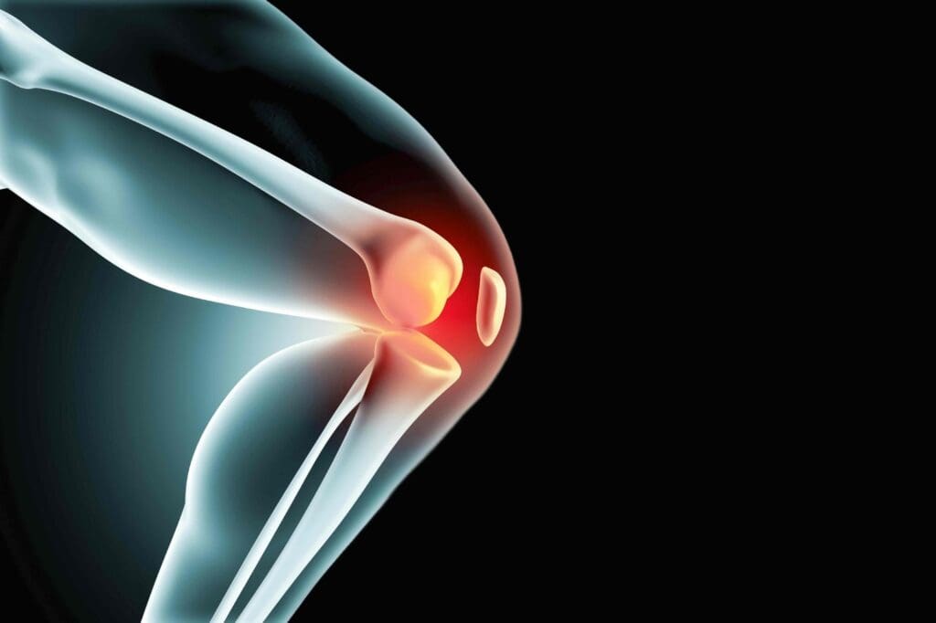 A detailed close-up view of healthy knee joint anatomy