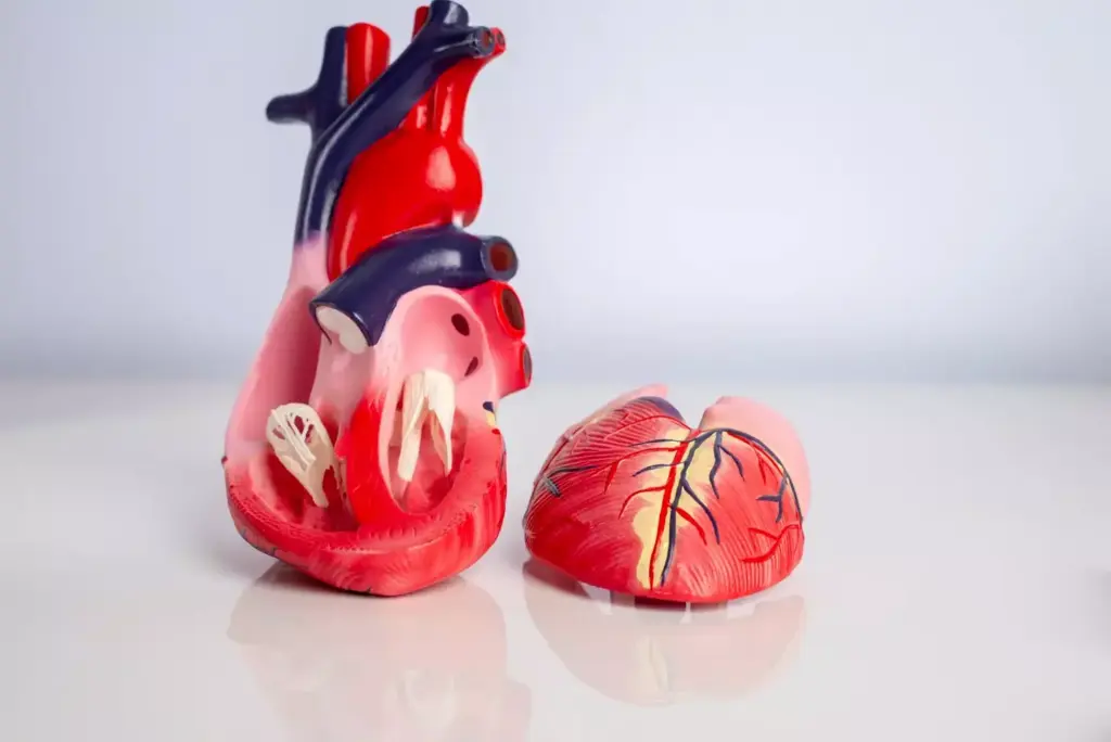 A detailed cross-section of a human heart valve, showcasing the intricate structure and mechanism of a diseased valve. Rendered in a clinical, technical style with high fidelity and anatomical precision. The foreground depicts the valve leaflets, annulus, and surrounding cardiac tissue, with a focus on the thickening, calcification, and impaired mobility characteristic of valvular dysfunction. The middle ground reveals the heart's chambers and major blood vessels, providing context. The background features a muted, monochromatic palette with subtle lighting to emphasize the medical subject matter. The overall composition conveys a sense of clinical examination and understanding of the pathological condition.