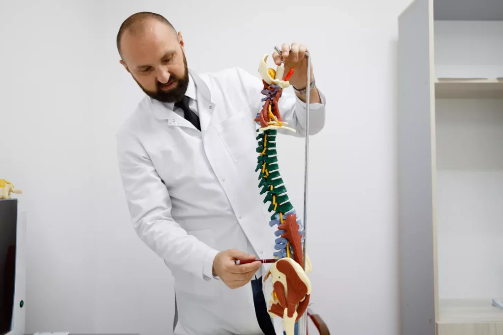 A detailed cross-section of the complex, intricate structure of human bone marrow. The image should showcase the diversity of cell types and the interconnected network of blood vessels, adipose tissue, and hematopoietic stem cells. Render this in a scientifically accurate, high-detail style with a neutral, clinical tone. Use natural, soft lighting to highlight the delicate, weblike composition. Capture the essential biological functions of the bone marrow, such as blood cell production and maintenance of the hematopoietic system. Convey a sense of the vital, fundamental role of bone marrow within the human body.