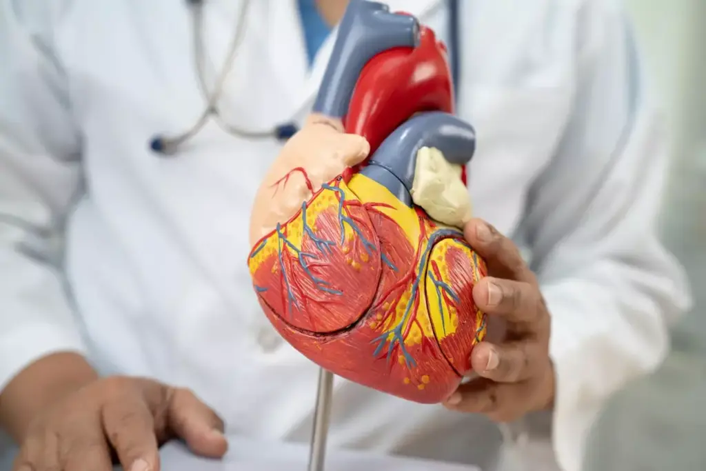A detailed, cross-sectional diagram of the human heart, showcasing the various types of heart valve disorders. The foreground highlights the structure and anatomy of the valves, with a focus on common abnormalities such as stenosis, regurgitation, and prolapse. The middle ground presents a clean, technical illustration of the heart's chambers and blood flow, while the background features a subtle, muted color palette to emphasize the medical and diagnostic nature of the image. The lighting is soft and directional, casting subtle shadows to accentuate the three-dimensional form of the heart. The overall composition conveys a sense of clinical precision and educational purpose, suitable for illustrating the types of heart valve disorders requiring replacement.