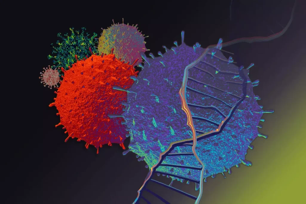 A detailed cutaway illustration of a CAR-T cell therapy mechanism. In the foreground, a large activated T cell with a chimeric antigen receptor (CAR) on its surface. In the middle ground, the T cell engages with a cancer cell, binding to its target antigen. In the background, a network of blood vessels and immune cells. The scene is illuminated by a warm, natural lighting, with a depth of field that emphasizes the key elements. Rendered in a scientific, technical style to convey the innovative medical technology at work.