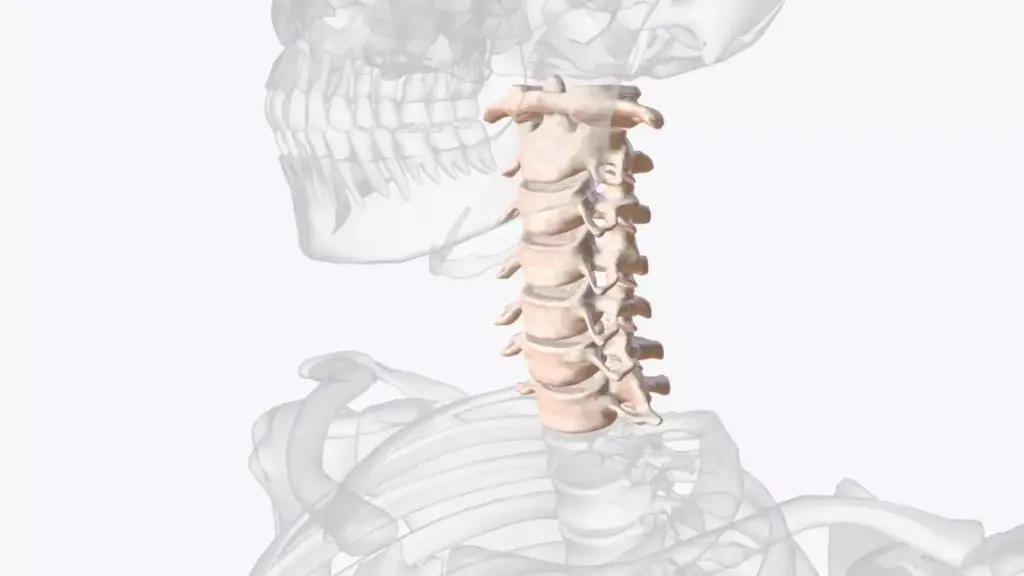 A detailed, high-resolution 3D render of a human cervical spine, featuring a surgical fusion procedure. The spine is displayed in the foreground, with a clean, stark white background. Visible anatomical structures include the vertebrae, discs, and spinal cord. The fusion hardware, such as plates and screws, are clearly visible, illustrating the surgical intervention. The lighting is crisp and evenly distributed, creating depth and highlighting the intricate spinal anatomy. The camera angle is slightly elevated, providing an informative, technical view of the cervical spine fusion. The overall mood is clinical, educational, and focused on conveying the key details of the medical procedure.