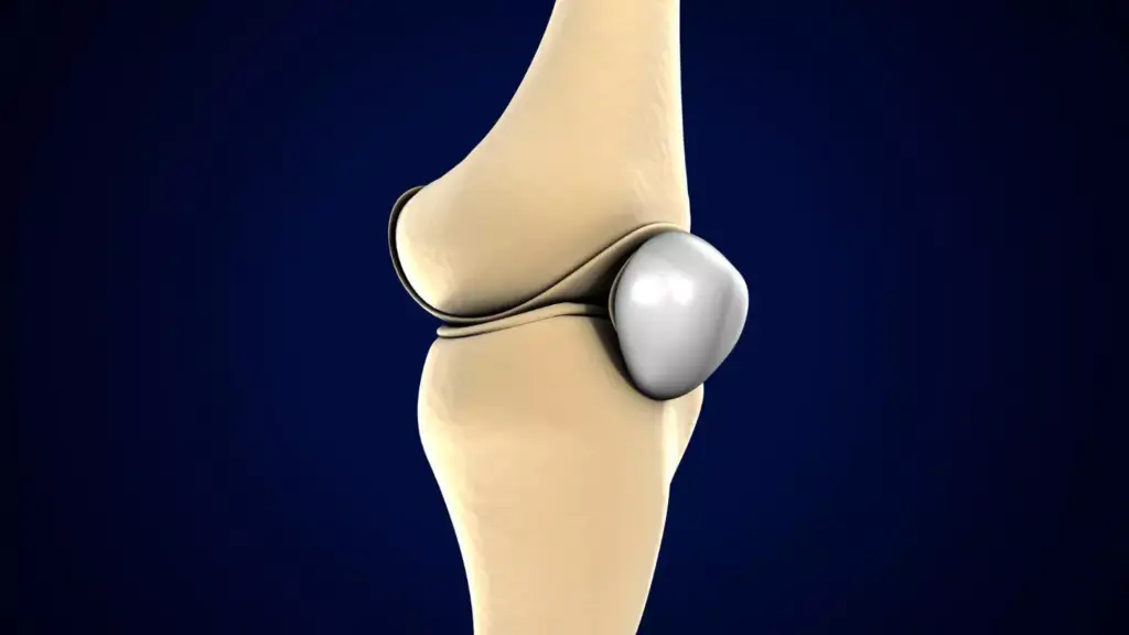 A detailed, high-resolution rendering of a ceramic knee prosthesis. The prosthesis is positioned in the center of the frame, allowing for a clear and focused view. The surface of the ceramic components has a smooth, lustrous finish that reflects the lighting. The titanium alloy fixtures and mounting hardware are visible, showcasing the technical precision of the design. The background is a neutral, muted tone, drawing attention to the prosthesis. The overall mood is one of clinical precision and medical innovation.