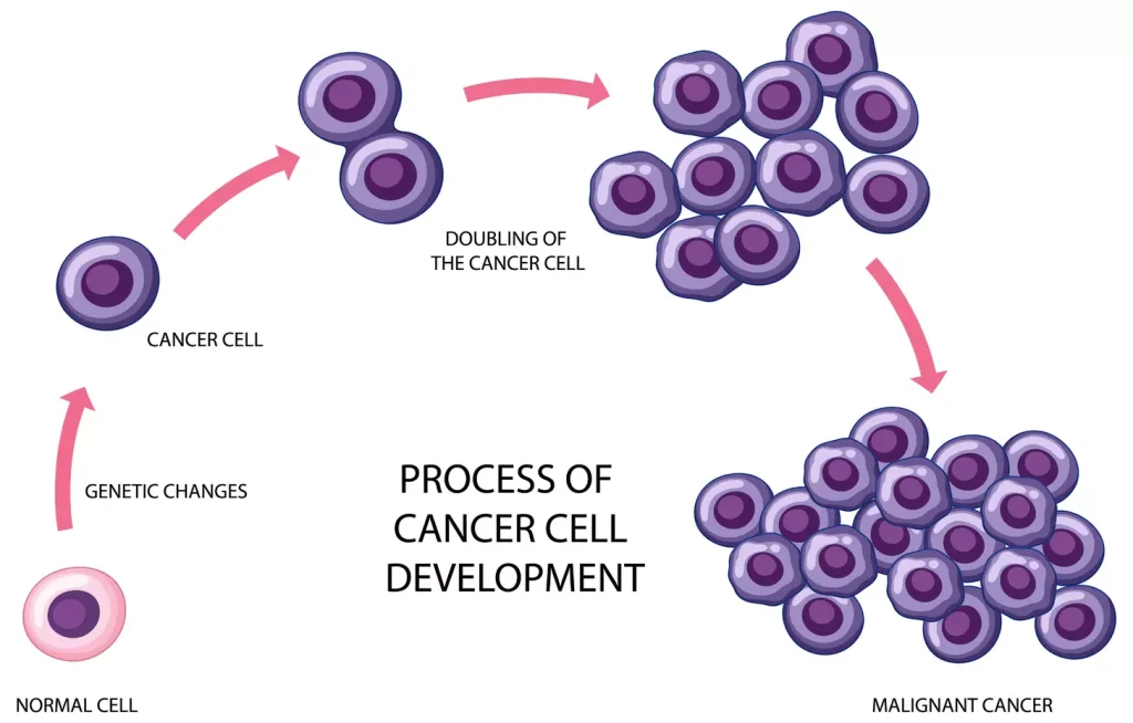 A detailed illustration of the CAR T cell creation process, showcasing the genetic modification of T cells to equip them with special cancer-fighting abilities. In the foreground, a group of T cells are depicted undergoing genetic engineering, with the introduction of the chimeric antigen receptor (CAR) visible. The middle ground features a scientific laboratory setting, complete with equipment and glassware, creating a sense of technical precision. In the background, a softly lit backdrop of cellular structures and molecular diagrams provides context, highlighting the scientific complexity of the process. The overall scene conveys a sense of scientific innovation and the dedication required to develop these revolutionary cancer treatments.