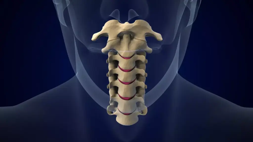 A high-contrast, cinematic image showcasing the growth and scale of the cervical fusion surgical market. In the foreground, a detailed 3D model of human vertebrae, with the cervical spine highlighted in vivid detail. The middle ground features a series of line graphs and statistical visualizations, conveying key market trends and projections. In the background, an abstract landscape of geometric shapes and gradients, suggestive of the medical and technological advancements driving this industry. Dramatic lighting casts sharp shadows, creating a sense of depth and drama. The overall composition strikes a balance between the anatomical, the analytical, and the aspirational, reflecting the significance and potential of the cervical fusion market.