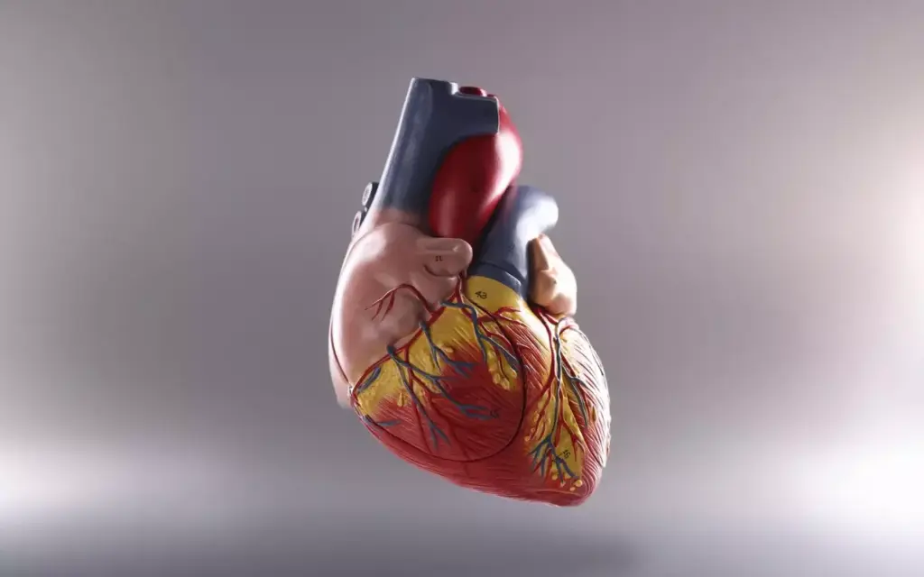 A high-resolution, detailed medical illustration depicting the evolution of heart valve replacement procedures. Showcase a sequence of different surgical techniques, from traditional open-heart surgery to minimally invasive transcatheter approaches. Capture the intricate anatomical structures of the heart, with a focus on the valve mechanisms. Use a cool, clinical color palette and crisp, technical lighting to convey a sense of medical expertise and professionalism. Frame the illustrations with a clean, white background to make the procedures the central focal point. Depict the procedures with precision, clarity, and a strong sense of depth, allowing the viewer to appreciate the complexity and advancement of these life-saving interventions.