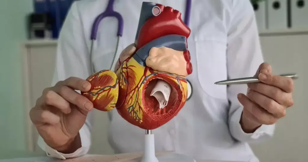 A highly detailed, anatomical illustration of a human heart valve, showcased in a clean, scientific style. The valve is depicted in a cutaway view, revealing its intricate structure of leaflets, chordae tendineae, and annulus. The image is rendered with crisp, high-resolution detail, capturing the delicate tissues and subtle textures with photorealistic precision. Bright, natural lighting illuminates the scene, casting soft shadows that accentuate the three-dimensional form. The background is a pristine white, allowing the valve's complex architecture to take center stage. The overall mood is one of clinical clarity and educational purpose, perfectly suited to illustrate the function and dysfunction of this vital cardiac structure.