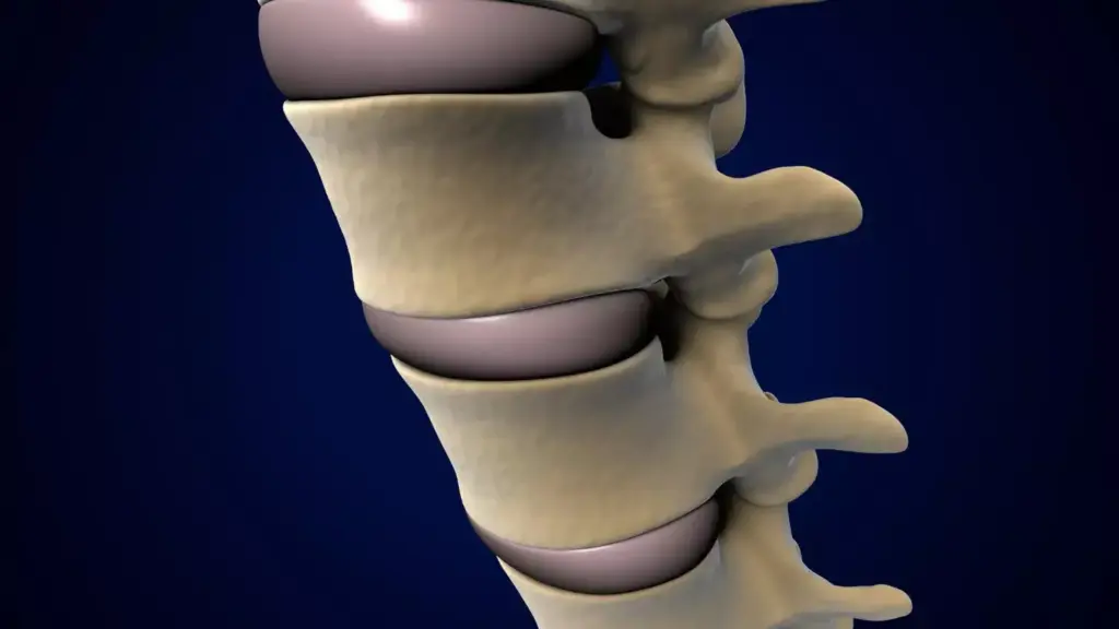 A highly detailed, anatomically accurate 3D render of a cervical artificial disc design, showcasing its intricate inner workings and mechanical components. The disc is presented in a clean, well-lit environment, captured from various angles to highlight its form and function. The design features a sleek, modern aesthetic with smooth surfaces, precise machining, and an elegant balance of mechanical precision and biomimetic inspiration. The lighting is warm and directional, casting subtle shadows that emphasize the disc's depth and contours. The overall mood is one of technical sophistication, innovation, and a deep understanding of human spinal biomechanics.