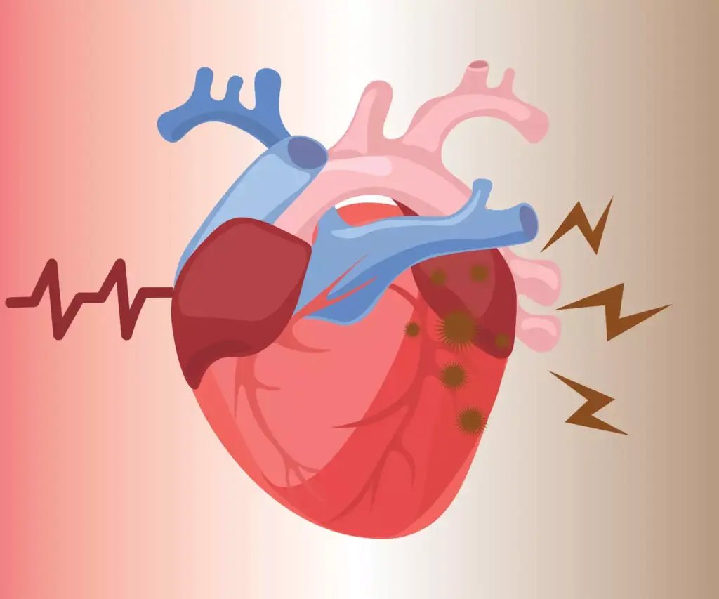 A realistic close-up view of a human heart against a blurred background of various alcoholic beverages. The heart appears slightly enlarged and with a slight reddish hue, conveying the impact of alcohol consumption. The lighting is warm and directional, casting subtle shadows on the heart's surface. The depth of field is shallow, keeping the heart in sharp focus while the drinks in the background are softly blurred. The overall mood is pensive, hinting at the complex relationship between alcohol and cardiovascular health.