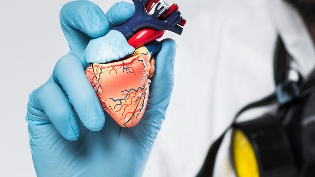 Aortic Aneurysm: Treatment Options and Repair Methods