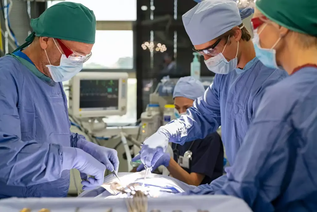 Aortic Surgery Procedures