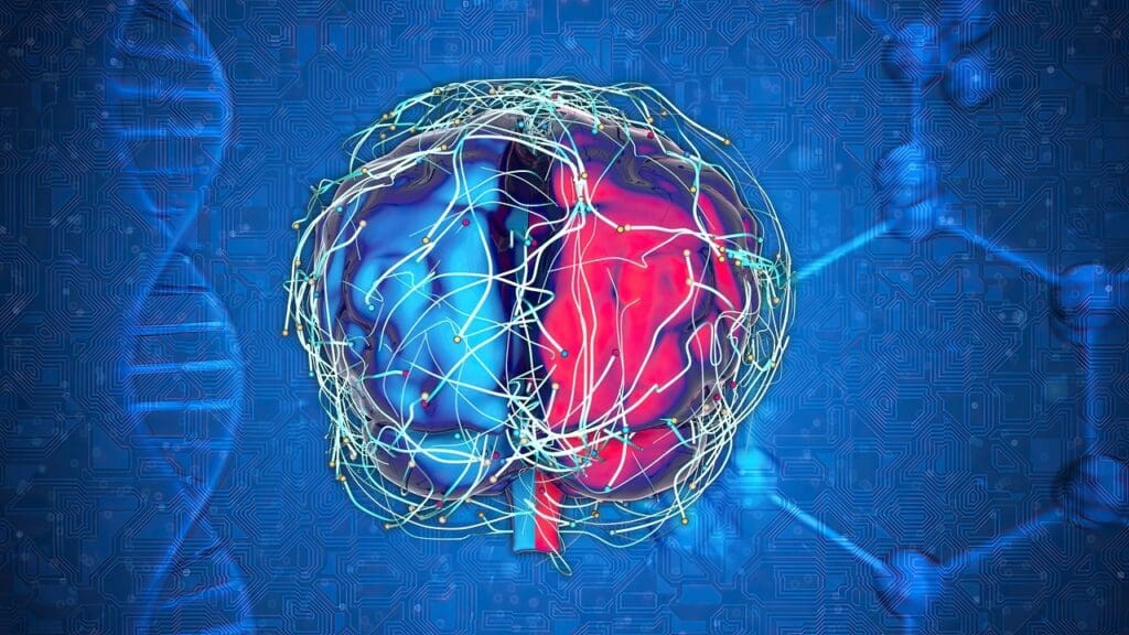 Brain Fluid Dynamics 