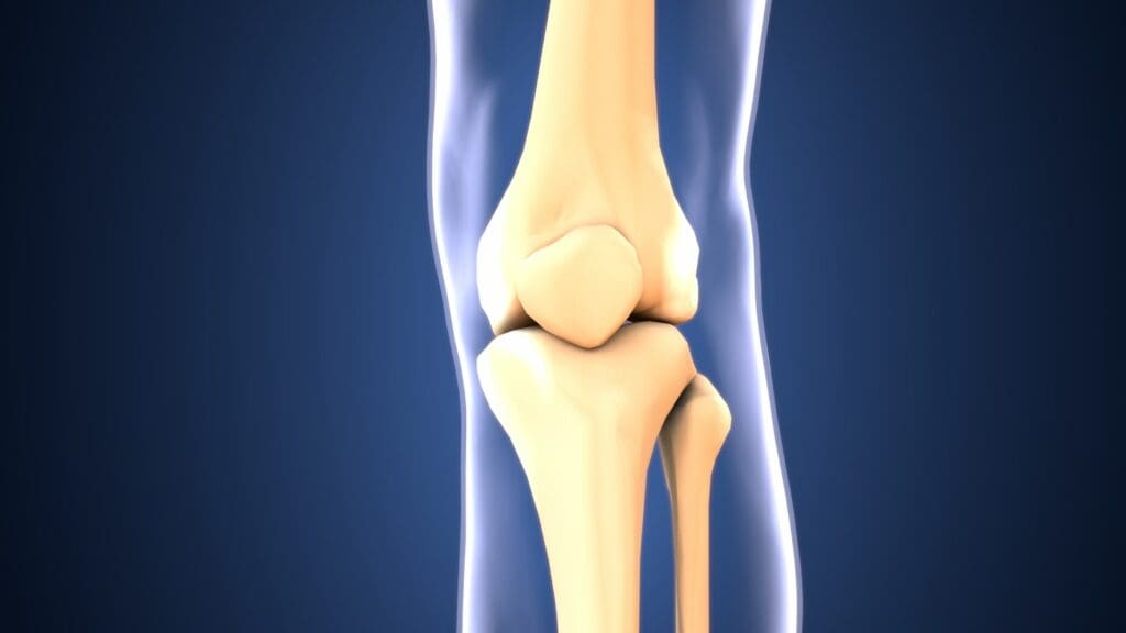 Detailed close-up of a human knee joint