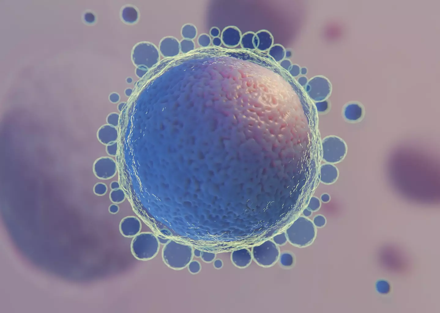 Embryonic stem cells