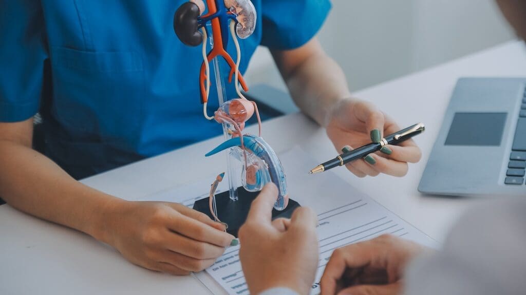 Erection After Prostate Surgery