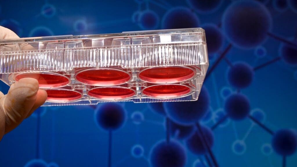 Hematopoiesis in Modern Medicine