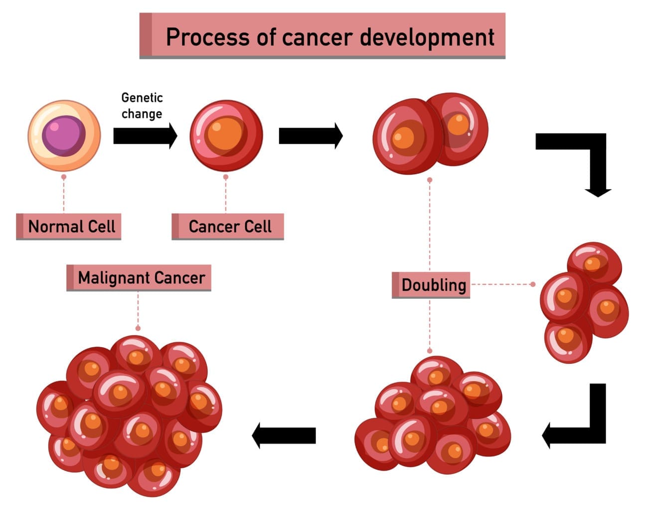 Hematopoietic stem cells
