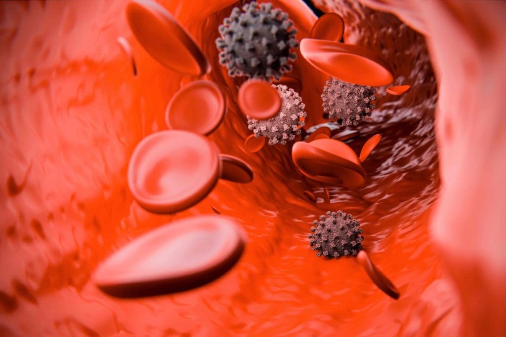 Hematopoietic stem cells, the foundation of the blood and immune system