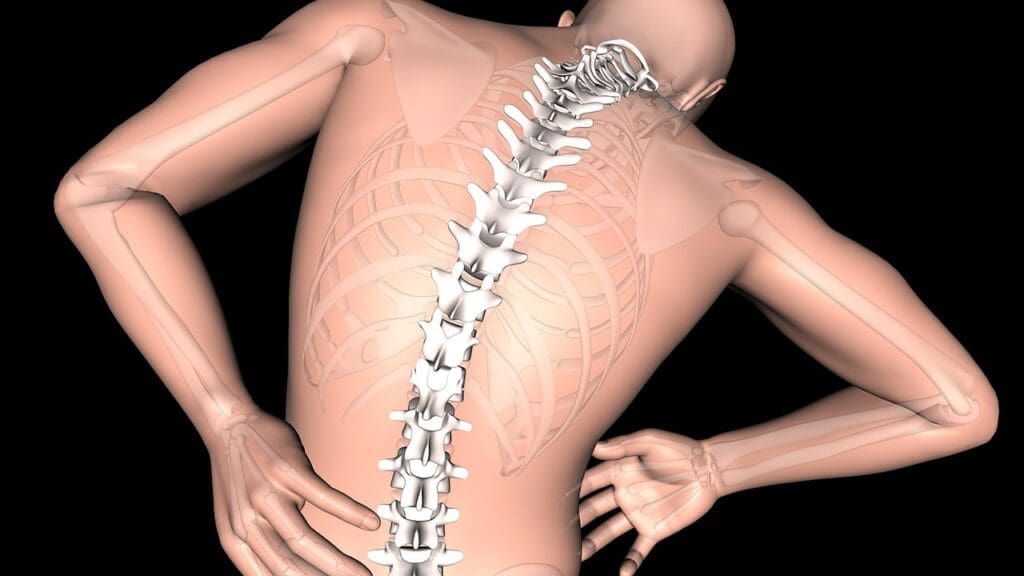 Herniated Discs and Mobility