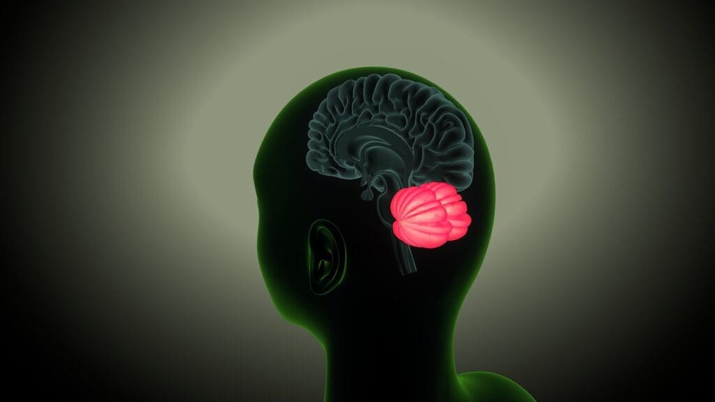 Recognizing Common Brain Tumor Symptoms